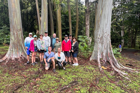 Maui: Full-Day Hana Tour with Snacks and Drinks