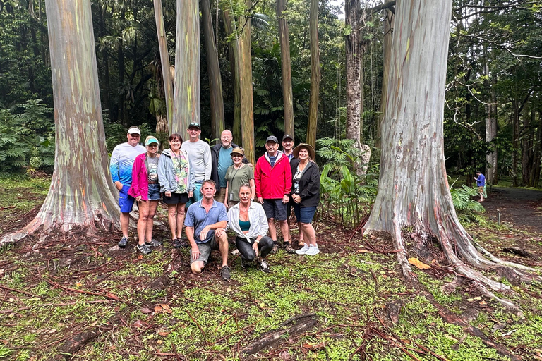 Maui: Full-Day Hana Tour with Snacks and Drinks