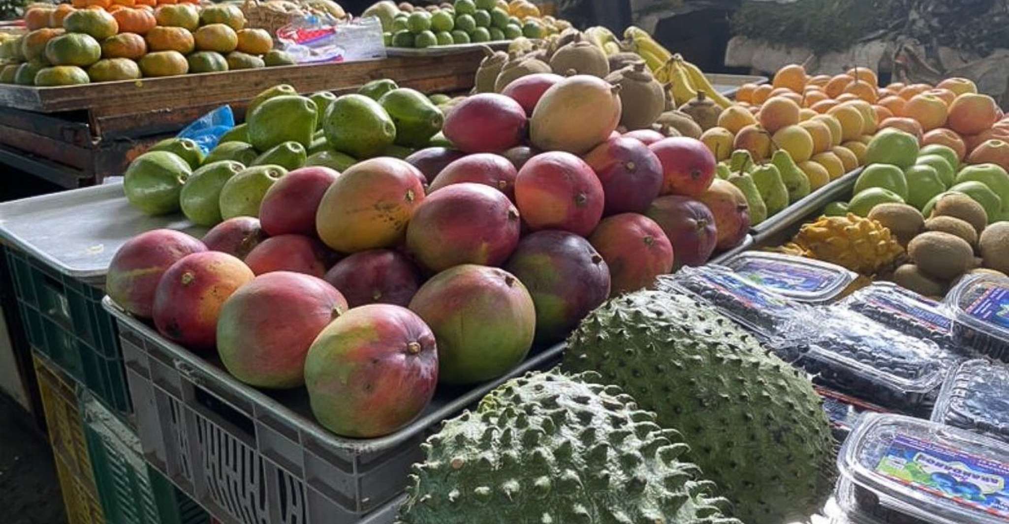 Cali, Obstmarkt Walking Tour mit Verkostungen - Hizvo