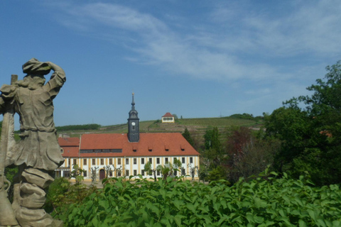 Dresden: Boat Cruise with Wine Tasting and Snacks
