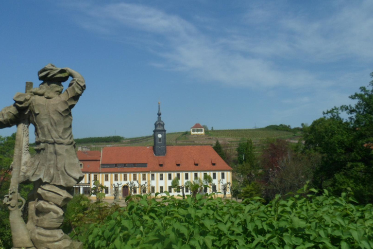 Dresden: Boat Cruise with Wine Tasting and Snacks