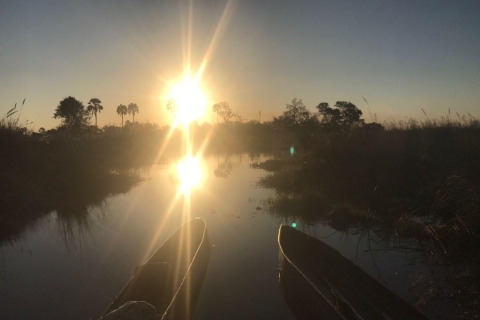 Excursion d'une journée dans le delta de l'Okavango