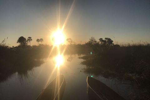 Excursion d'une journée dans le delta de l'Okavango