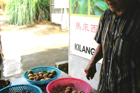 Penang: Balik Pulau Hidden Gems Tour with Hotel Pickup