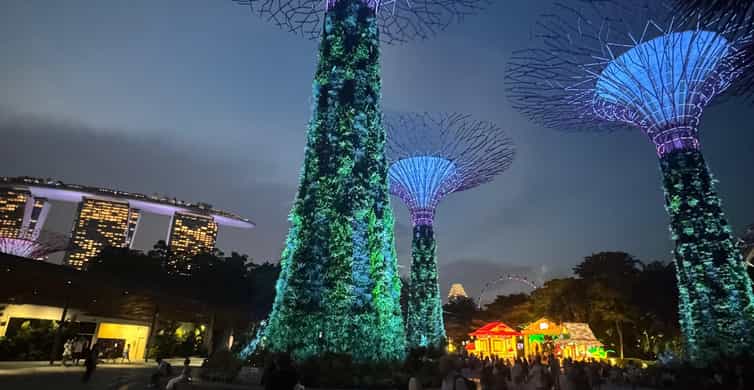 Singapore River Cruise, Garden Rhapsody & Spectra by CYT photo 9