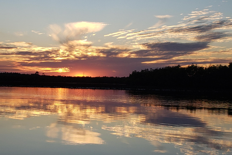 Daytona/New Smyrna Beach: Unforgettable Kayak Wildlife tours