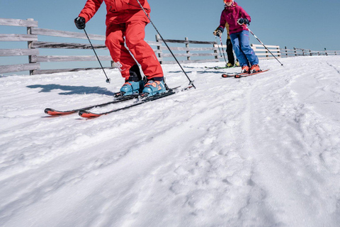 From Queenstown: Full-Day Ski or Snowboard Lesson + Gear Ski Package + Queenstown Transfers: Intermediate