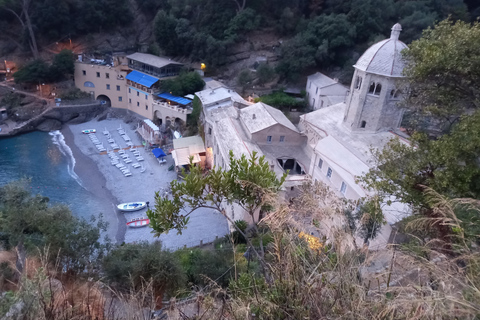 Baignade avec les cétacés Visite privée en bateau Genova Portofino