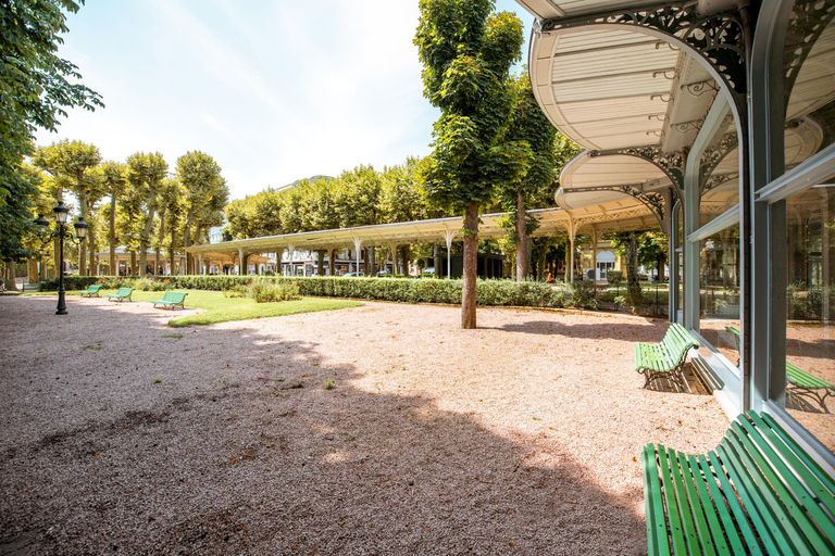 Vichy: Express Walk with a Local 90 min - Private Tour