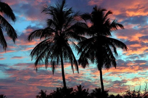 Pasikudah to Airport Transfer Hidden East Coast Adventure