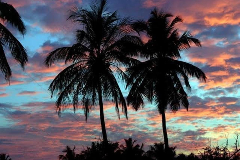 Pasikudah to Airport Transfer Hidden East Coast Adventure