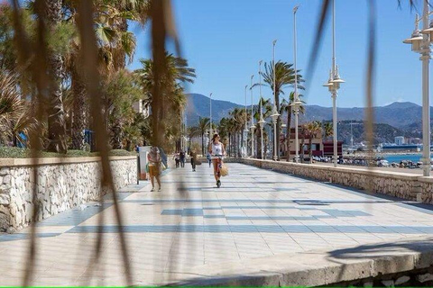 Malaga Walking Tour with Gibralfaro Castle & Alcazaba Visits