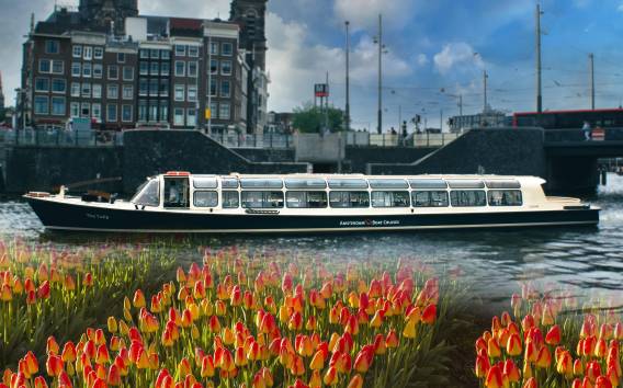 Amsterdam: Canal Cruise & Keukenhof Ticket mit Transfer