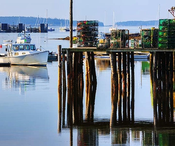 4 Hour Private Tour: Acadia, Fjord, Gardens & Mansions