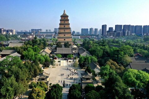 Xi'an: Daci'en Temple(Great Wild Goose Pagoda) E-ticket Daci'en Temple(Entry Time 08:30am-10:30am)