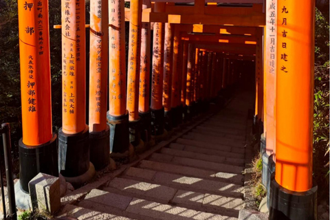 Maizuru: Shore Excursion for Cruise Guests（Private/Group） Litinerary A: Kyoto City Tour(small group)