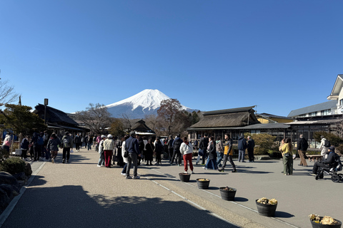 Tokyo: Mt Fuji A Journey Through Nature, History & Culture Tokyo: Mt Fuji A Journey Through Nature, History, & Culture