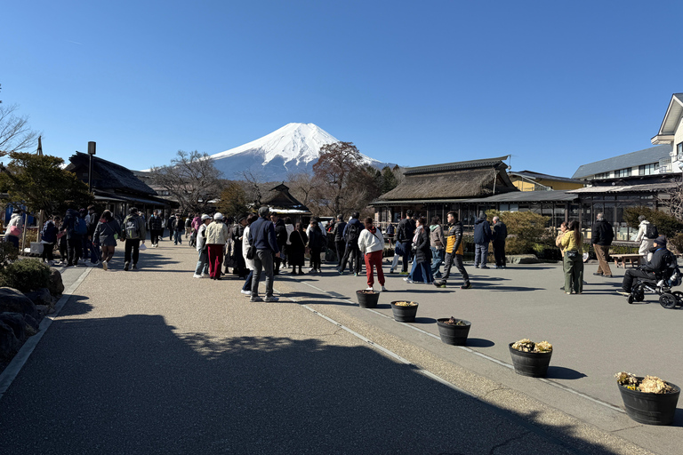 Tokyo: Mt Fuji A Journey Through Nature, History & Culture Tokyo: Mt Fuji A Journey Through Nature, History, & Culture