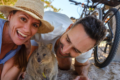 Rottnest Island Discovery Bike Tour Rottnest Island Small-Group Discovery Bike Tour