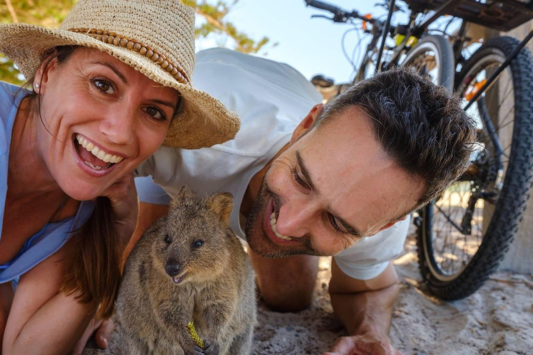 Rottnest Island Discovery Bike Tour Rottnest Island Small-Group Discovery Bike Tour