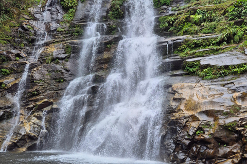 Paraty: Melancia Waterfall Trail Guided Hike with Pickup