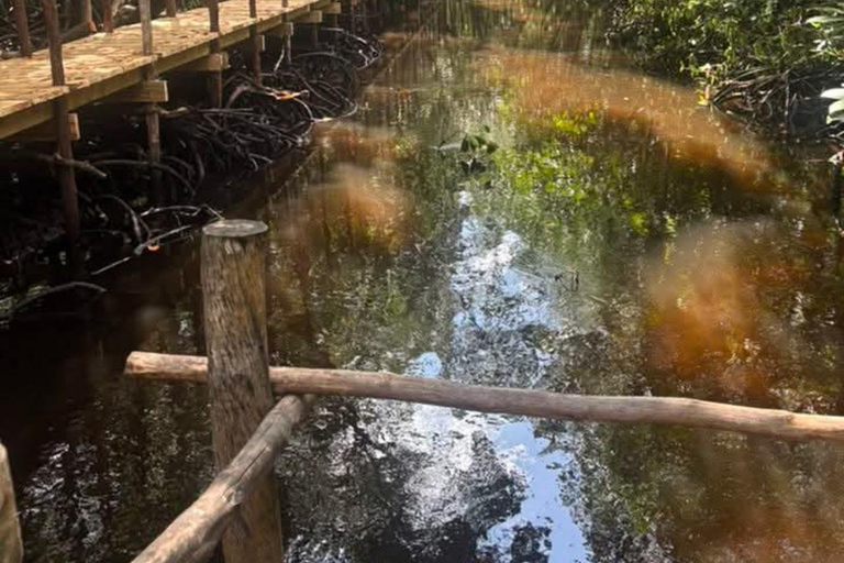 Zanzibar: Masingini Forest, Monkeys & Zipline adventure Masingini Forest, Monkeys & Zipline adventure & transfer