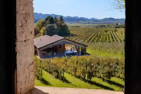 Valdobbiadene: Winery Tour with Wine and Food Tasting