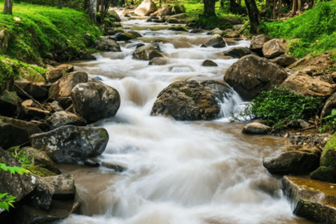 Chiang Rai: Private Customized Tour–5 Places of Your Choice