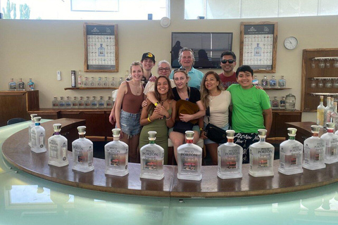 From Ica: Wine and Pisco Cellar Sightseeing Tour with Tastings and Transfers Premium Pisco Route (Afternoon)