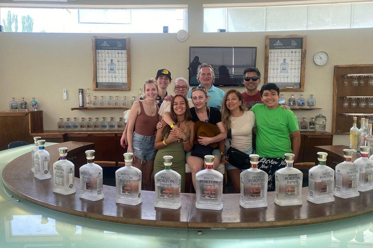 From Ica: Wine and Pisco Cellar Sightseeing Tour with Tastings and Transfers Premium Pisco Route (Afternoon)