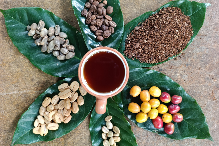 Cusco: Specialty Coffee Tasting-Sensory Experience (2 Hours)