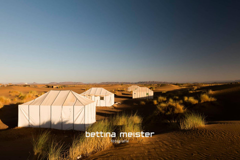 From Marrakech: 2-Day Zagora Desert Tour Camel & Luxury Camp Shared Tour With Luxury Camp