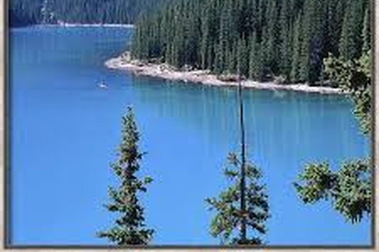 Lake Louise, Moraine, Emerald Half Day Premium Guided Tour