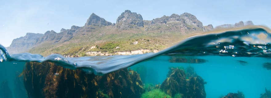 Le Cap : safari océanique à Hout Bay