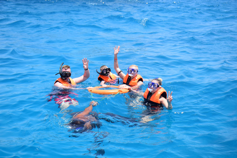 Sharm: Vip snorkelcruise met internationale lunch