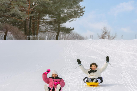 Vivaldi Park_ Snowyland Snow Fun med Seoul Shuttle[8.00 Hongik] Inträde till Snowyland