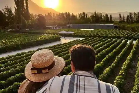 Alyan Sunset Experience Vinho, prova e janta ao crepúsculo