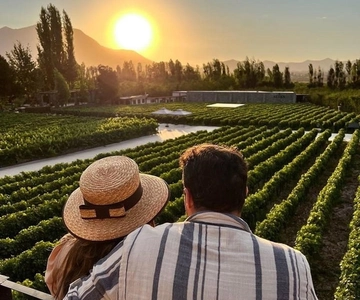 Alyan Sunset Experience Wine, Taste, and Dine at Twilight