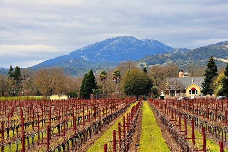 Da SF: escursione nella Napa Valley, a Yountville e SausalitoDa San Francisco: escursione nella Napa Valley, a Yountville e Sausalito