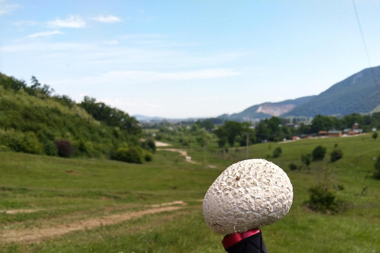 Cycling in Transylvania (Magura, Pestera & Moieciu)