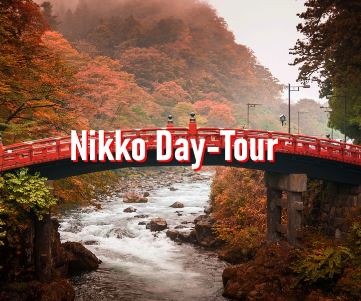 Van Tokio: privétour op maat van 10 uur naar Nikko