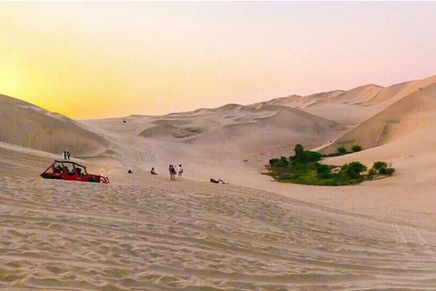 From Ica: Nazca Lines and Dune Buggy Tour (Huacachina) Group From Ica: Nazca Lines and Dune Buggy Tour (Huacachina)