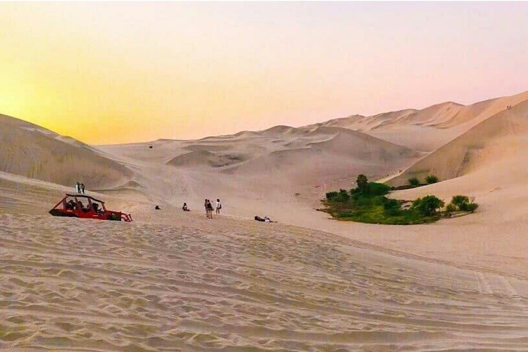 From Ica: Nazca Lines and Dune Buggy Tour (Huacachina) Group From Ica: Nazca Lines and Dune Buggy Tour (Huacachina)