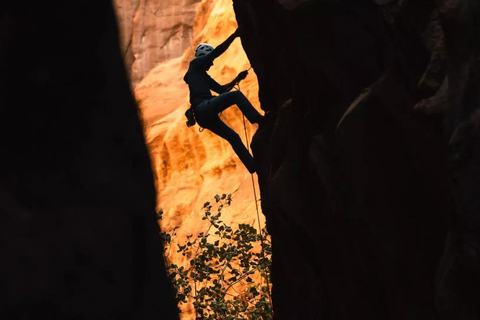 Explore AlUla from Above: A Rock Climbing Adventure
