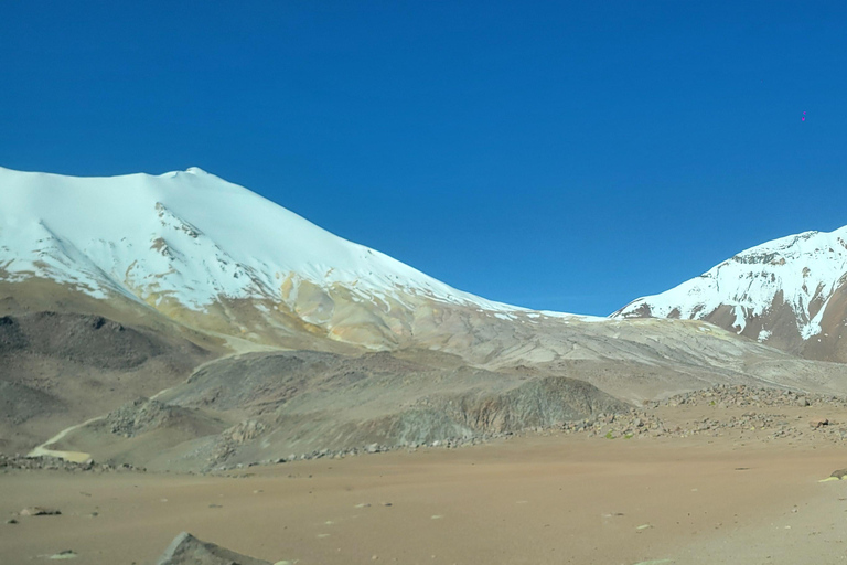 From Putre: 2-Day Guallatiri Volcano Climb/Aymara Base Camp