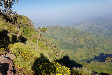 Addis Ababa: Simien Mountains 3-Day Trekking Tour