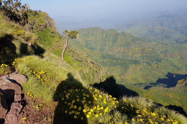 Addis Ababa: Simien Mountains 3-Day Trekking Tour