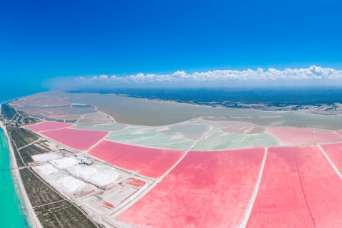 From Merida: Las Coloradas, Rio Lagartos & Beach Tour Desde Mérida: Tour Las Coloradas, Rio Lagartos y Playa