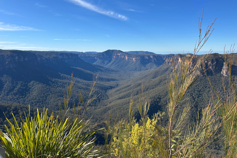 Sydney: Blue Mountains 3 Scenic Walks Ultimate Guided Tour Shared Tour, Meet at Furama Darling Harbour