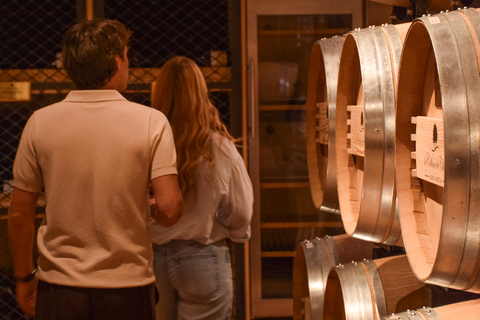 Valpantena: La Collina dei Ciliegi Wine Tasting Experience Collezione Terrena ENG